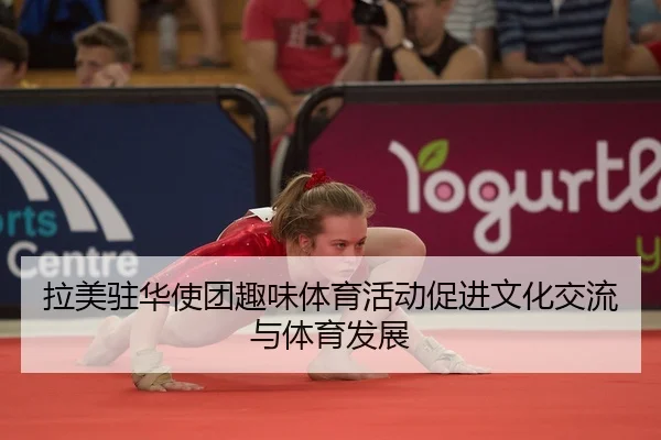 la-mei-zhu-hua-shi-tuan-qu-wei-ti-yu-huo-dong-cu-jin-wen-hua-jiao-liu-yu-ti-yu-fa-zhan-2-870.jpg